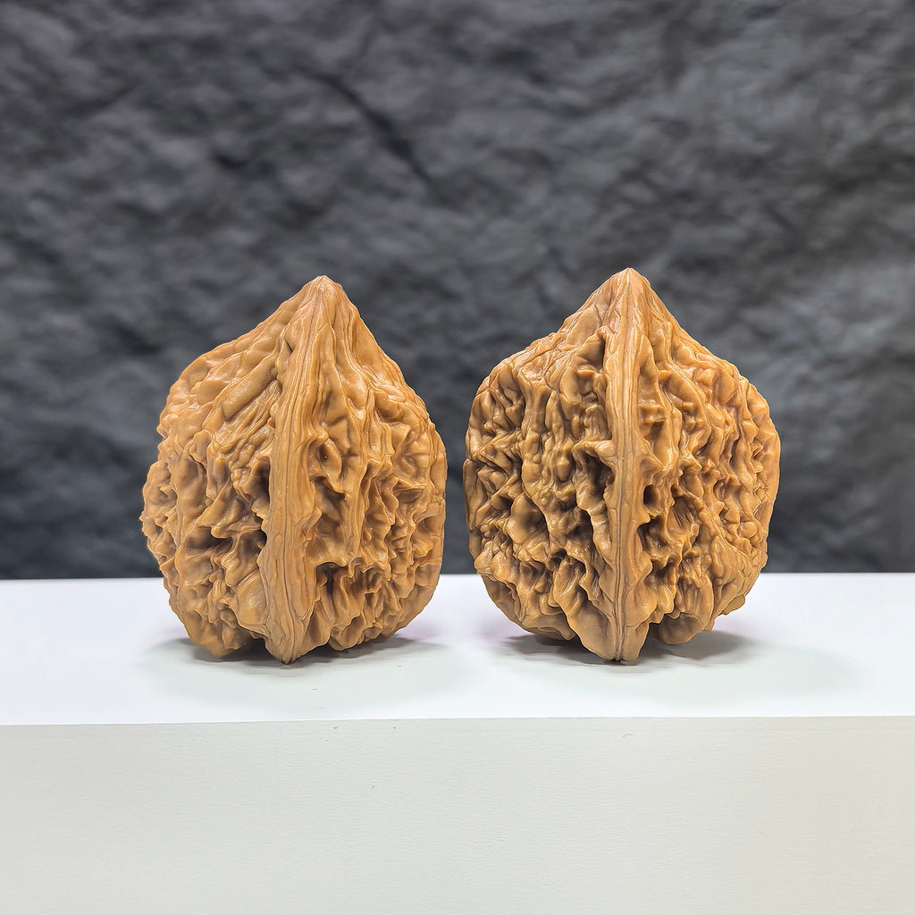 Pair of Beijing Chicken Heart Wenwan walnuts by Wenwan Art, 41mm size, showcasing smooth, polished natural walnut surfaces.