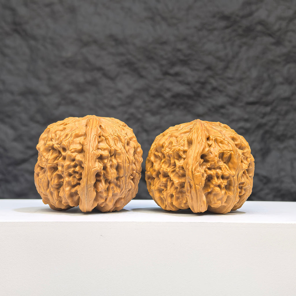 White Lion Wenwan Walnut pair by Wenwan Art, featuring 36mm x 39mm classic white lion carved walnuts, detailed and polished surface.