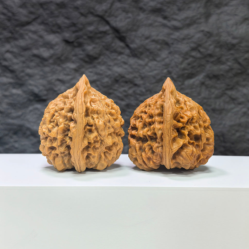 Pair of large Wenwan Art official Wenwan walnuts, 48mm x 45mm, showcasing smooth, polished walnut shells with detailed natural textures.