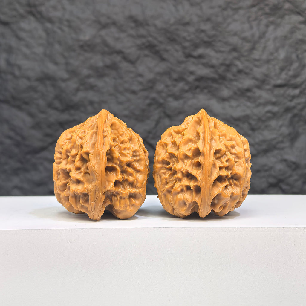 Selected grade Wild Bison Walnut for Wenwan art, measuring 3.8x3.7cm, showcasing smooth, polished surface and natural wood patterns.