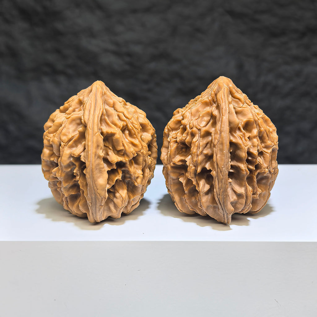 Pair of Tongtian Eight Wenwan walnuts by Wenwan Art, 40mm x 37mm, showcasing smooth, polished walnut carvings.