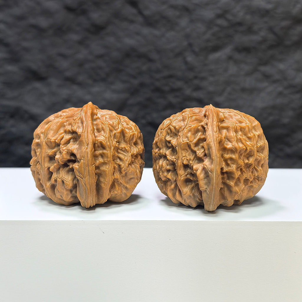 【收藏級】三角白獅子 文玩核桃 (4.4 × 4.3cm) | [Collector's Grade] Tri-Angular White Lion Walnut (4.4 × 4.3cm) - SKU: BSZ-1A2