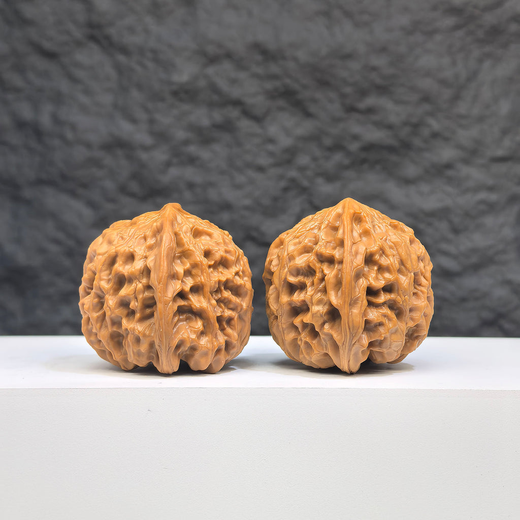 Selected grade Wild Bison Walnut for Wenwan art, measuring 3.8×3.7cm, showcasing smooth, polished walnut with natural grain details.