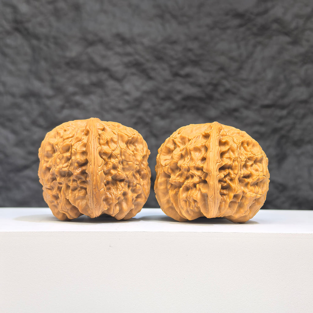 Pair of White Lion Wenwan Walnuts by Wenwan Art, 36mm x 39mm, featuring detailed carvings on smooth white walnut surfaces.