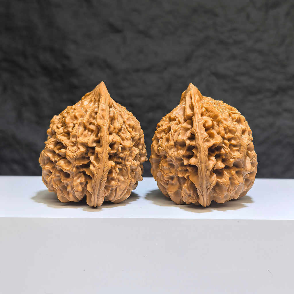 【收藏級】麒麟紋 文玩核桃 (4.9 × 4.3cm) | [Collector's Grade] Kylin Texture Walnut (4.9 × 4.3cm) - SKU: QLW-1Z5