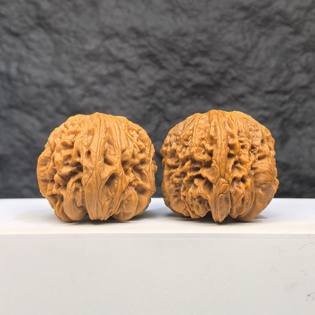Selected grade Blizzard Wenwan Walnut, 4.1 × 4.4cm, showcasing smooth, polished surface and unique natural patterns.
