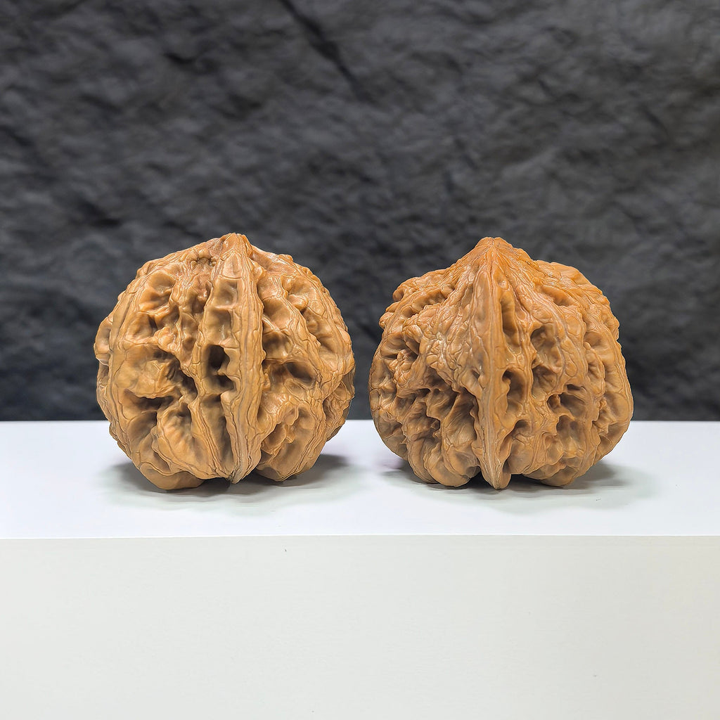 【精選級】大粗筋 文玩核桃 (4.6 × 4.6cm) | [Selected Grade] Large Thick Rib Walnut (4.6 × 4.6cm) - SKU: DCJ-1S9