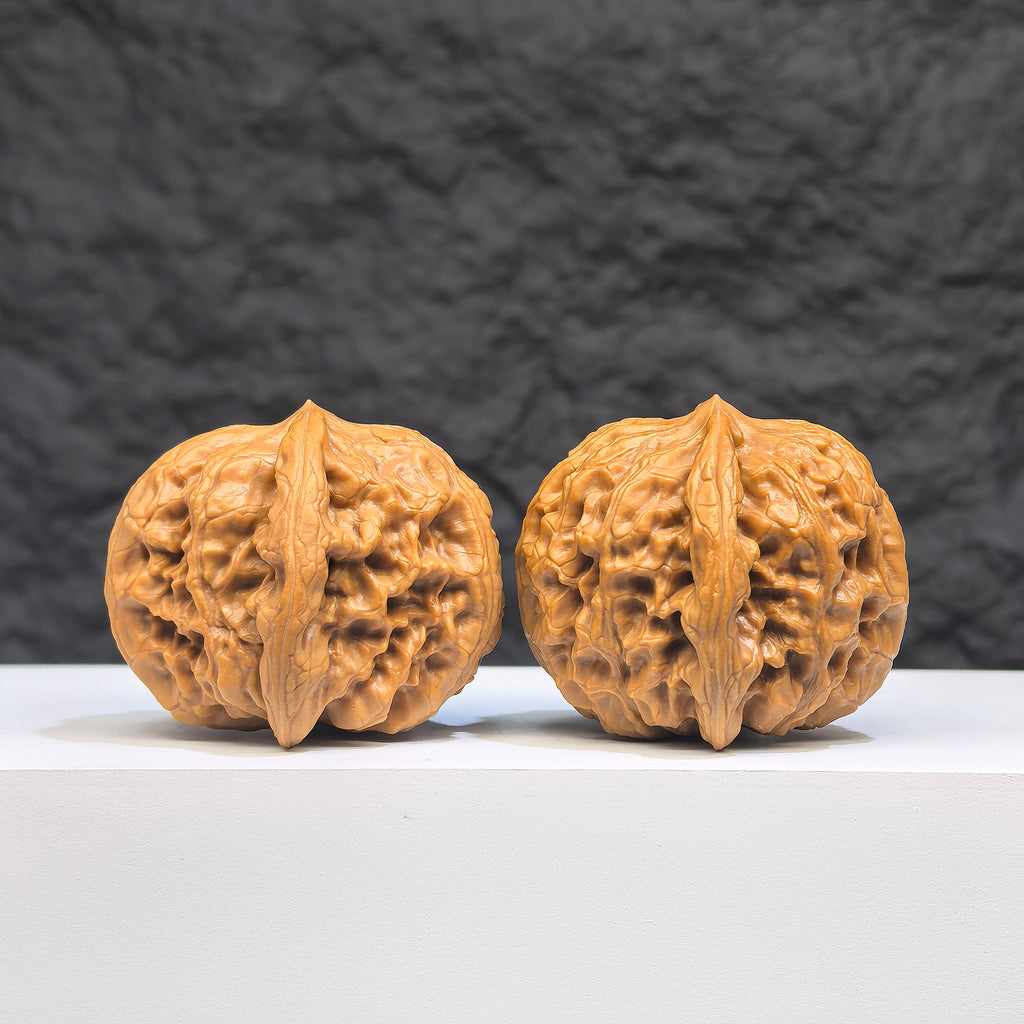 Pair of authentic Wild Wolf Wenwan walnuts from Wenwan Art, 37mm x 39mm, featuring natural wood grain and unique textures.