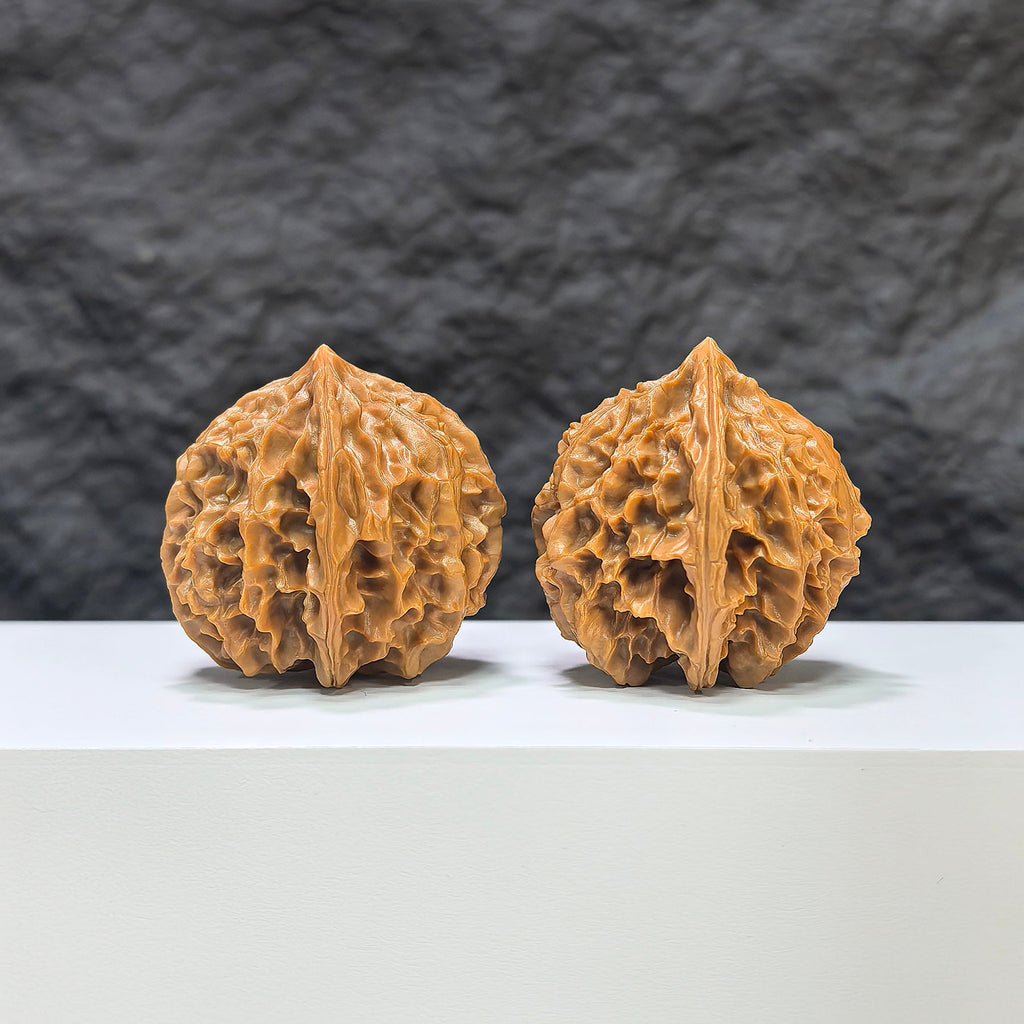 【收藏級】燈籠 文玩核桃 (4.0 × 3.9cm) | [Collector's Grade] Lantern Walnut (4.0 × 3.9cm) - SKU: DL-1B8