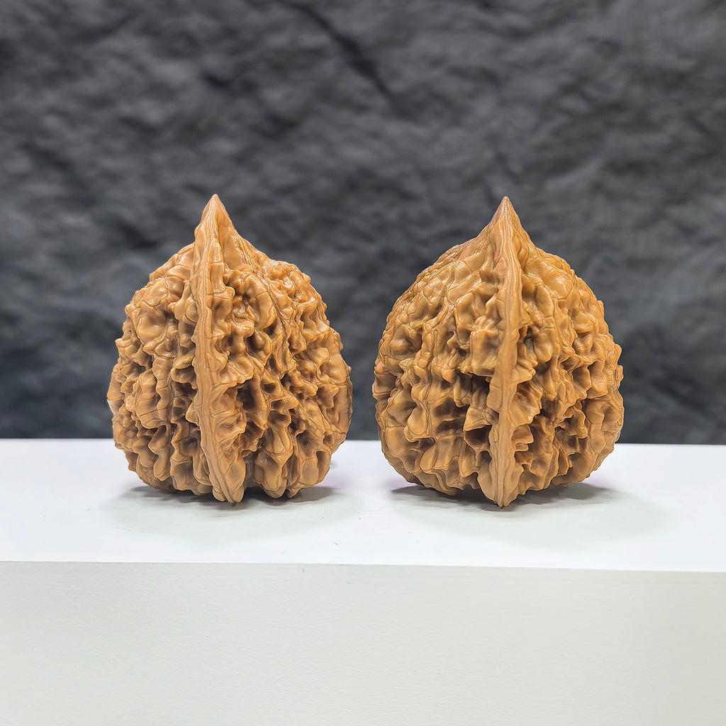 Pair of authentic Wild Wenwan Walnuts from Wenwan Art, 39mm x 38mm, featuring natural wood grain and unique textures.