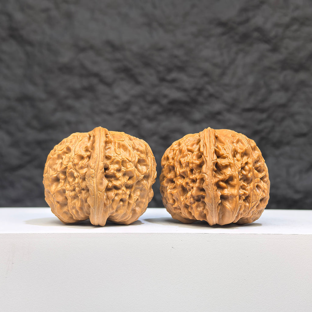 White Lion Wenwan Walnut pair by Wenwan Art, 37mm x 38mm, featuring detailed carved white lion designs on smooth walnut surfaces.
