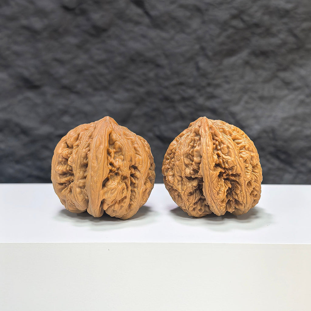 【精選級】粗筋 文玩核桃 (3.6 × 3.6cm) | [Selected Grade] Thick Rib Walnut (3.6 × 3.6cm) - SKU: CJ-1S8