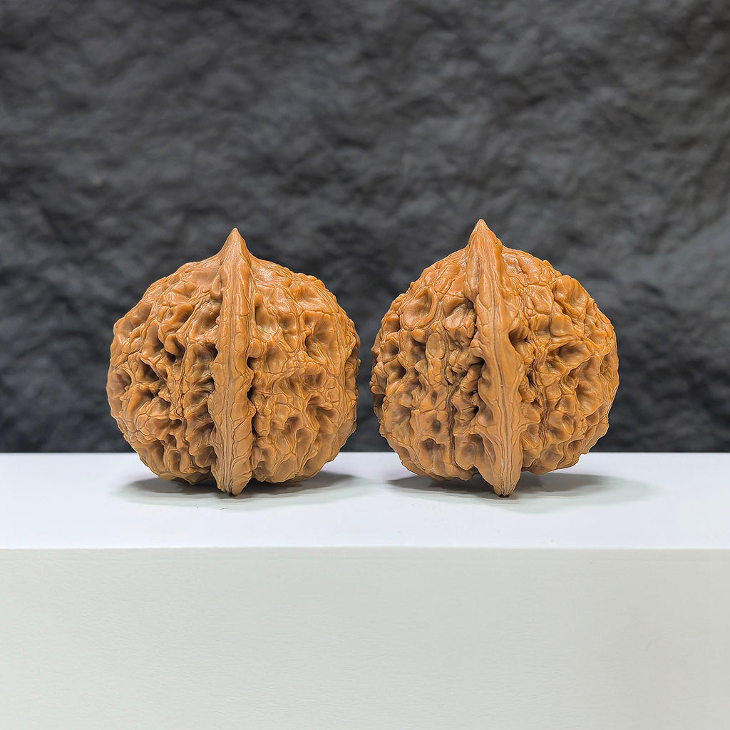 【收藏級】水龍紋 文玩核桃 (3.9 × 4.0cm) | [Collector's Grade] Water Dragon Texture Walnut (3.9 × 4.0cm) - SKU: SLW-1B6