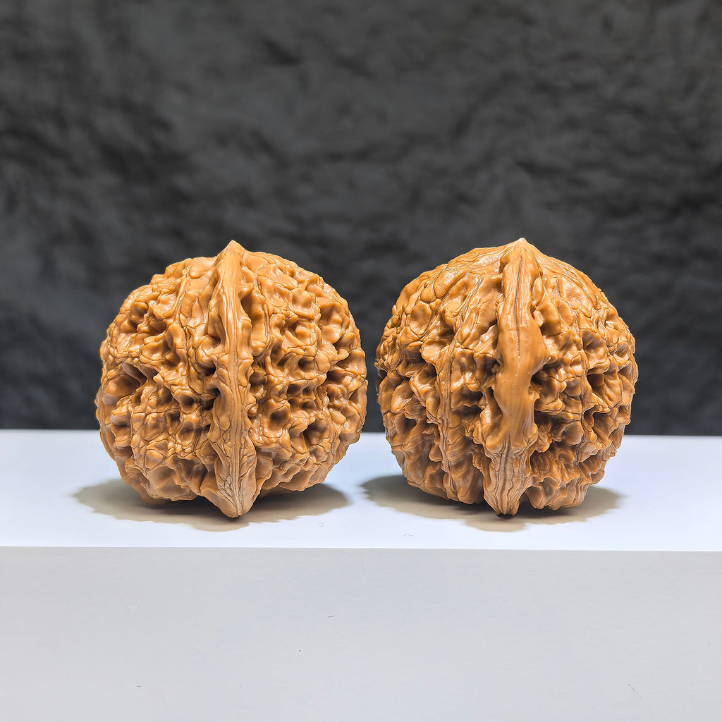 Pair of Classic Scholar Wenwan Walnuts with water dragon pattern, 40mm size, handcrafted by Wenwan Art, showcasing detailed ball-shaped design.