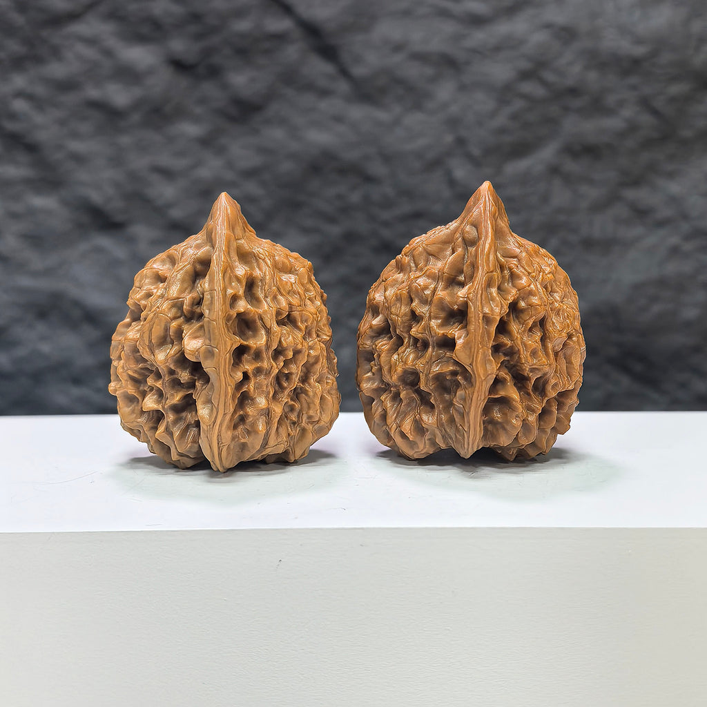 Pair of Wenwan Art official Wenwan Walnut hats, 40mm and 38mm, featuring intricate carvings on smooth, polished wood surfaces.