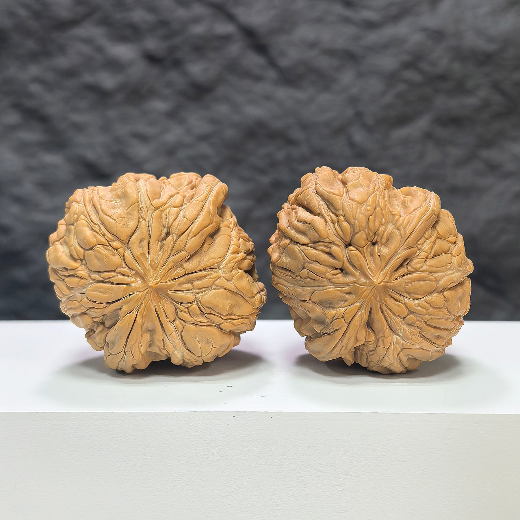 Pair of Classic Scholar Wenwan hand-matched walnuts by Wenwan Art, 44mm x 46mm, showcasing smooth, polished walnut carvings.