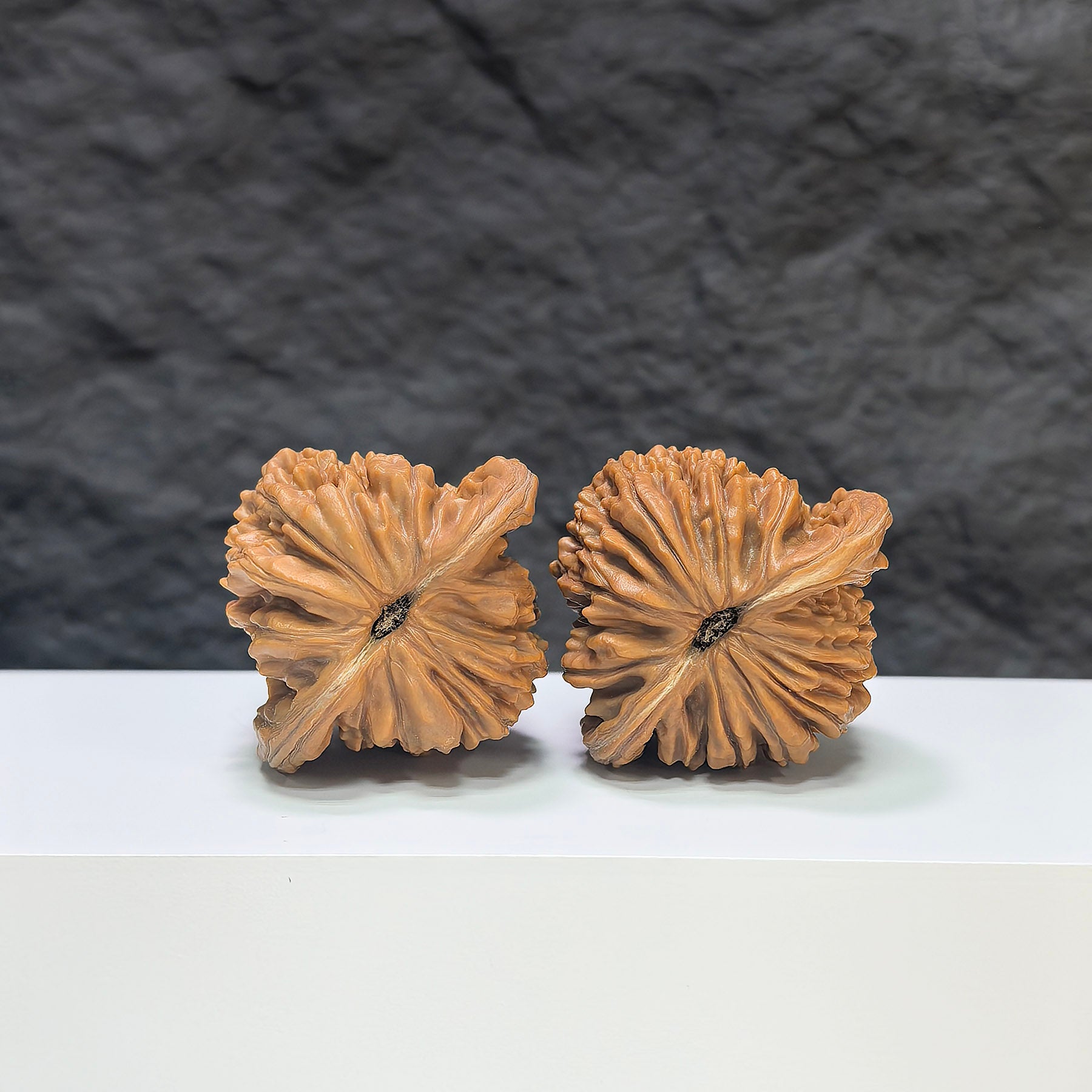 Selected grade Sizuolou Wenwan walnut, 4.2×3.9cm, showcasing smooth surface and natural wood grain for traditional Chinese art collection.