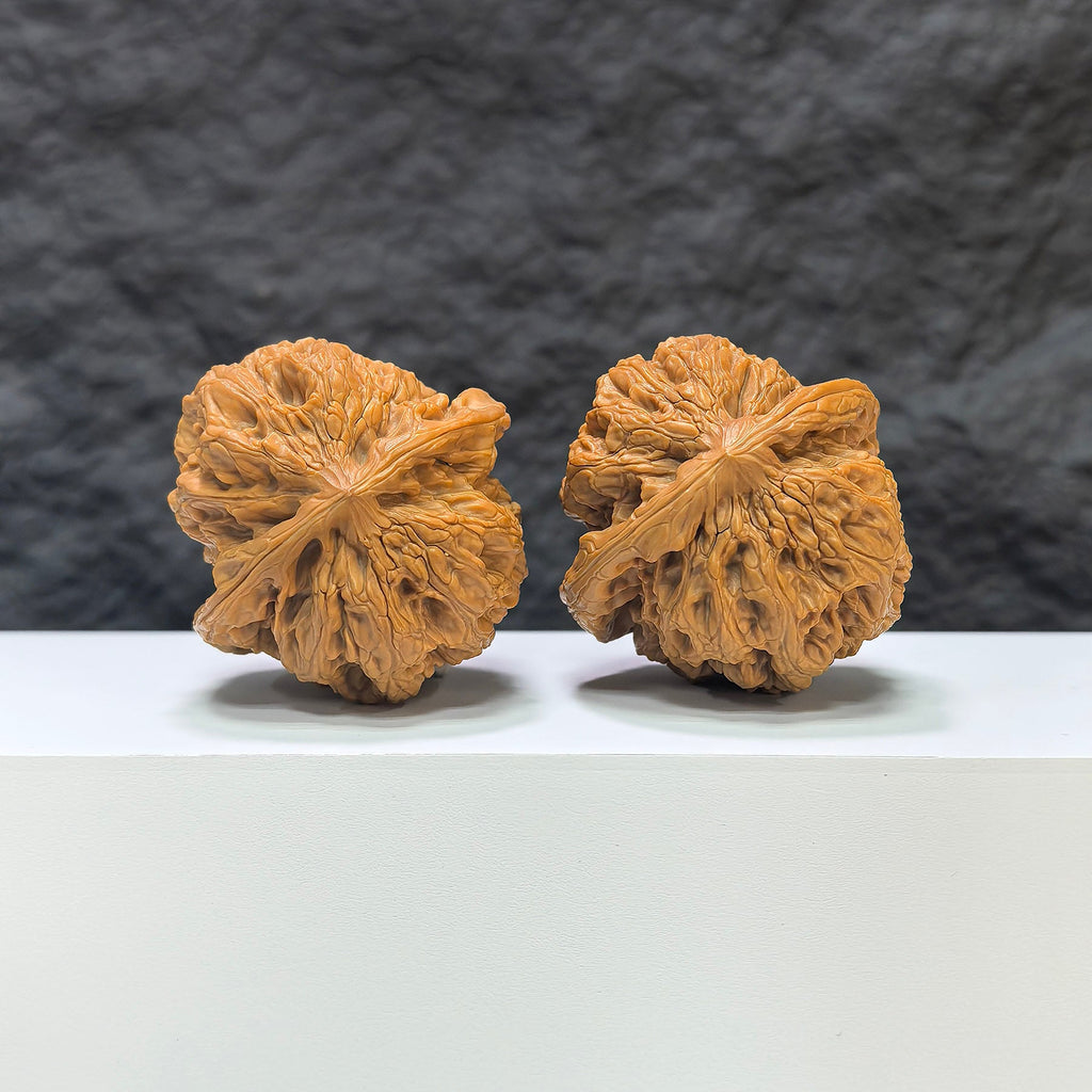 【收藏級】華北將軍嶺 文玩核桃 (4.6 × 4.6cm) | [Collector's Grade] North China General Ridge Walnut (4.6 × 4.6cm) - SKU: HBJSL-1C8