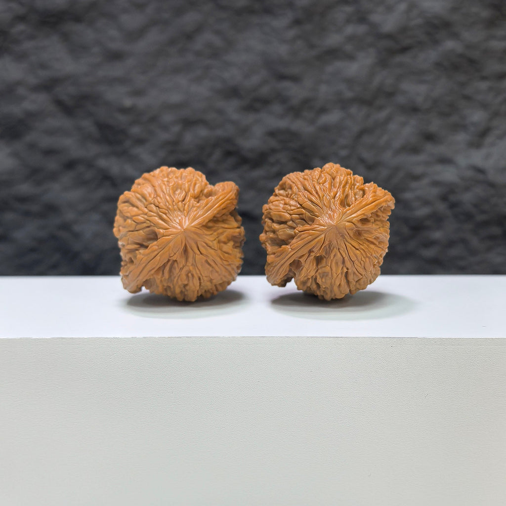 【收藏級】磨盤 文玩核桃 (3.9 × 3.6cm) | [Collector's Grade] Millstone Walnut (3.9 × 3.6cm) - SKU: MB-1C1