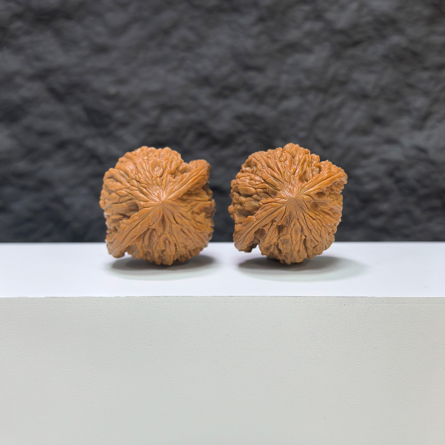 【收藏級】磨盤 文玩核桃 (3.9 × 3.6cm) | [Collector's Grade] Millstone Walnut (3.9 × 3.6cm) - SKU: MB-1C1