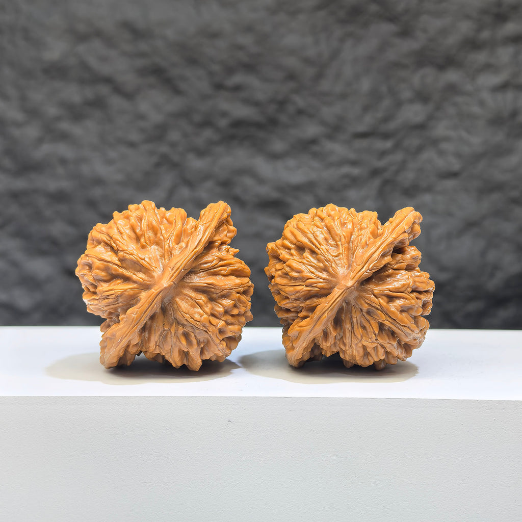 Pair of Sizuolou Wenwan walnuts from Wenwan Art, featuring 40mm and 37mm classic walnut carvings with detailed natural textures.