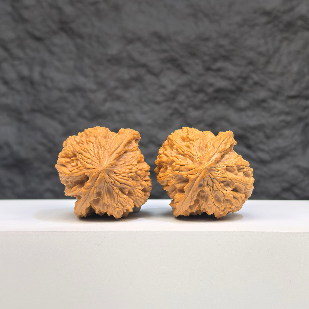 Pair of spherical Wenwan Art Walnut carvings with full star patterns, round profile, 38mm size, detailed natural wood texture.