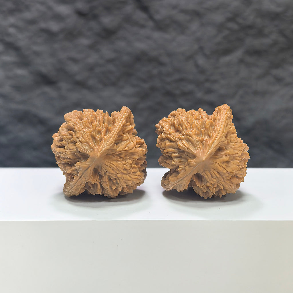 Pair of Peach Heart Xiayunling Wenwan walnuts from Wenwan Art, featuring smooth, polished surface and natural wood grain details.