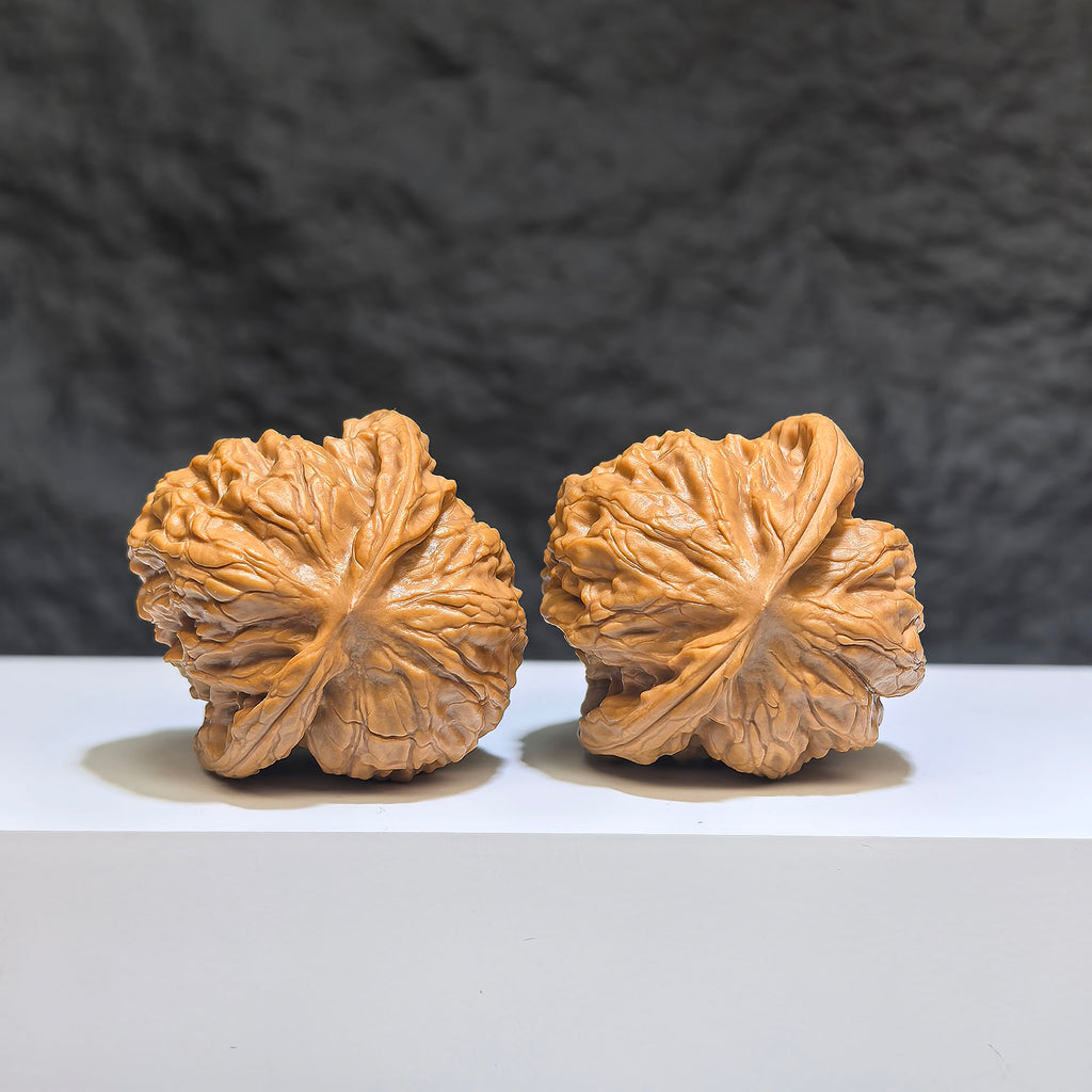 【收藏級】野狼 文玩核桃 (4.0 × 3.9cm) | [Collector's Grade] Wild Wolf Walnut (4.0 × 3.9cm) - SKU: YL-1Z4