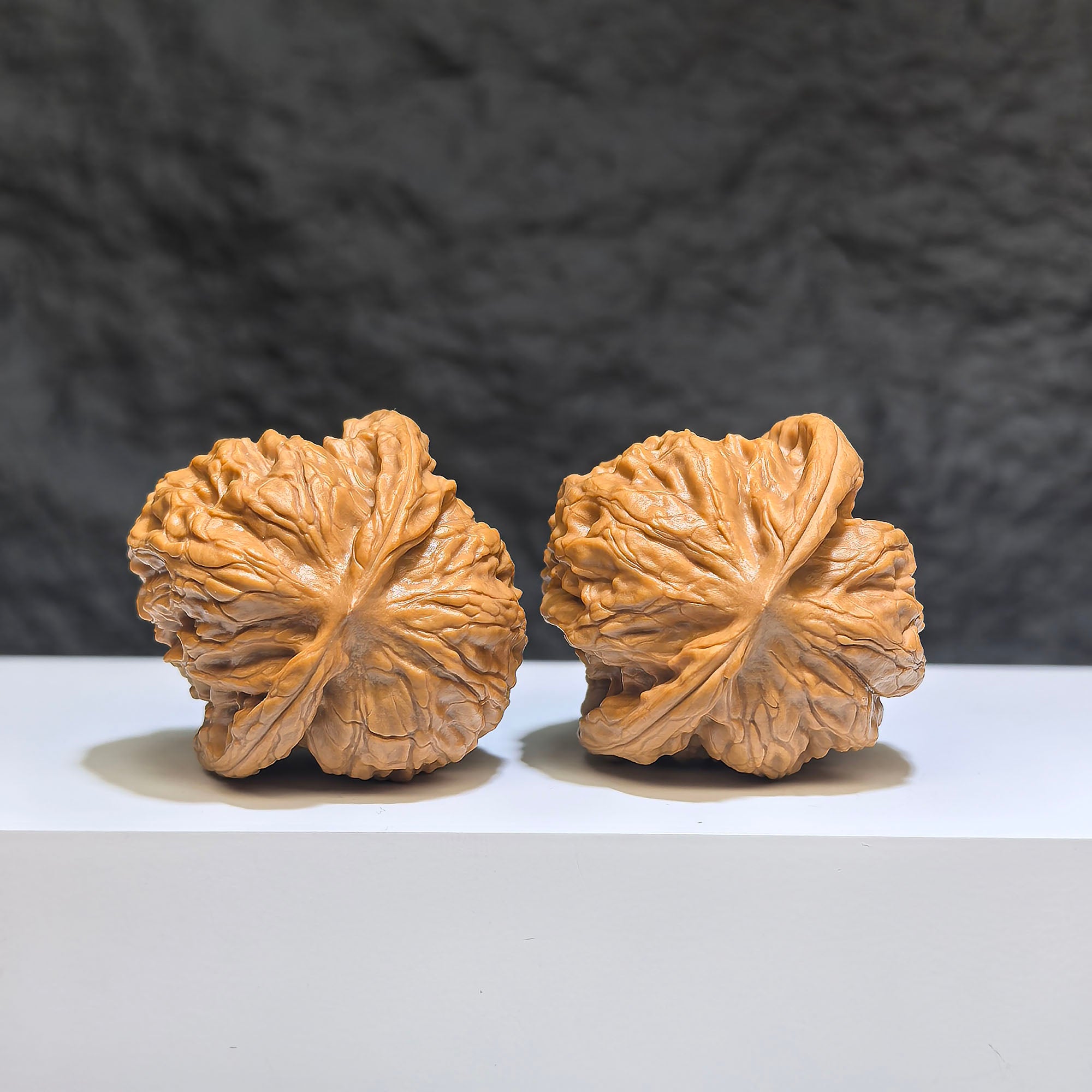 【收藏級】野狼 文玩核桃 (4.0 × 3.9cm) | [Collector's Grade] Wild Wolf Walnut (4.0 × 3.9cm) - SKU: YL-1Z4