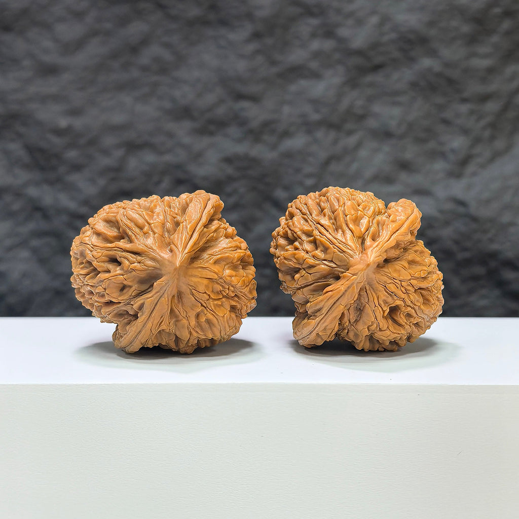 【收藏級】水龍紋 文玩核桃 (3.9 × 4.0cm) | [Collector's Grade] Water Dragon Texture Walnut (3.9 × 4.0cm) - SKU: SLW-1B6