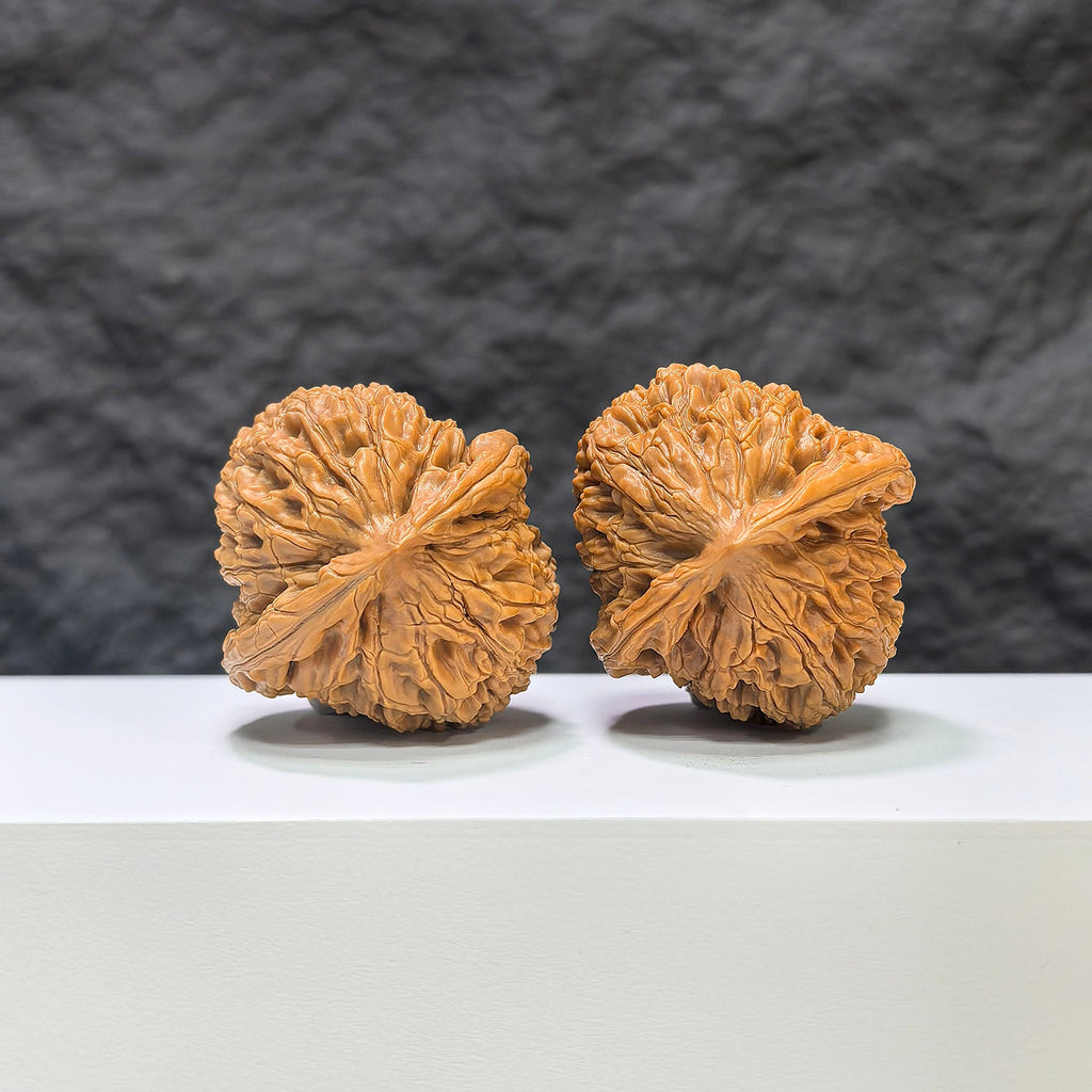 【收藏級】水龍紋 文玩核桃 (3.9 × 4.1cm) | [Collector's Grade] Water Dragon Texture Walnut (3.9 × 4.1cm) - SKU: SLW-1C2