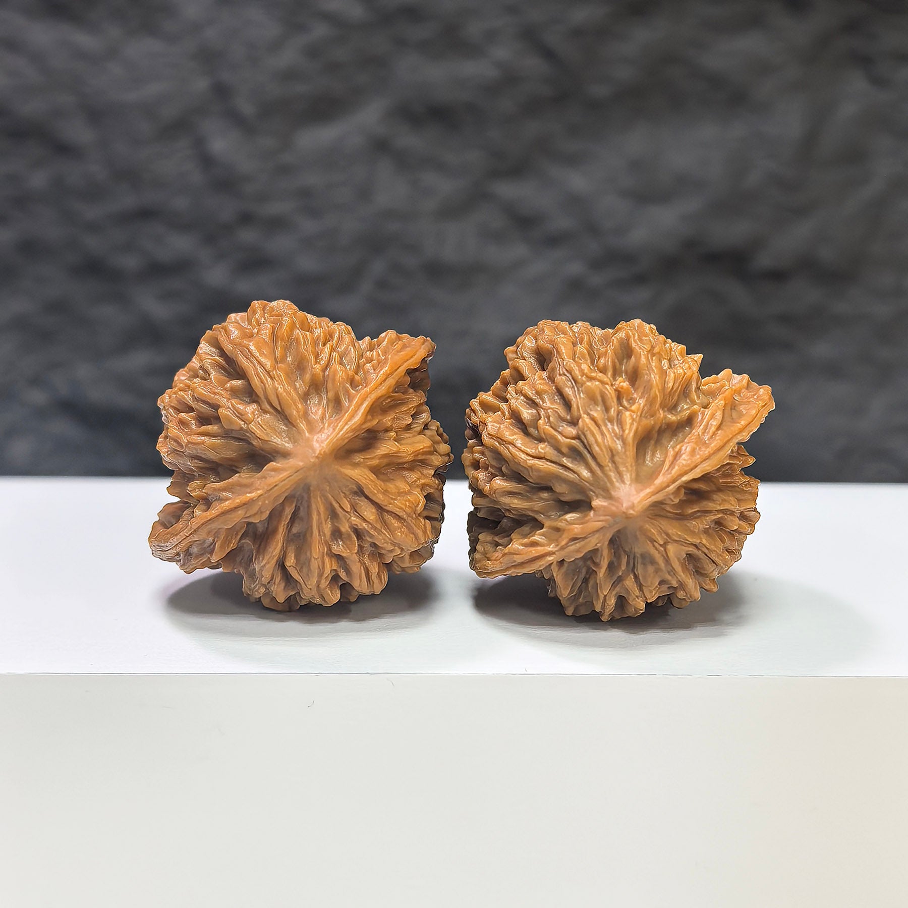 Pair of Panlong Texture Wenwan walnuts by Wenwan Art, featuring intricate 蟠龍紋 carving, 34mm x 31mm, detailed natural wood grain.