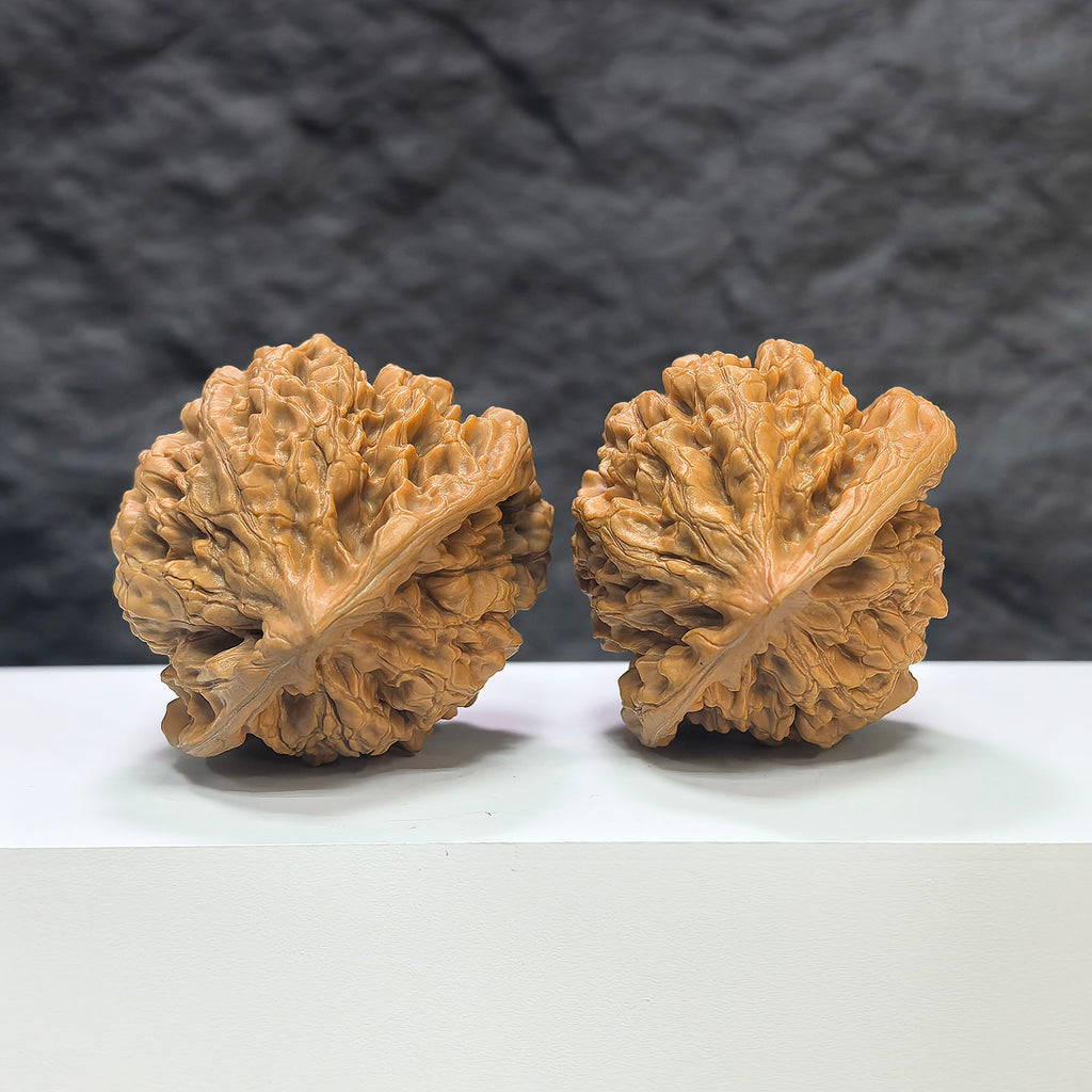 Pair of large Wenwan Art official Wenwan walnuts, 47mm x 43mm, showcasing smooth, polished walnut shells with intricate natural patterns.