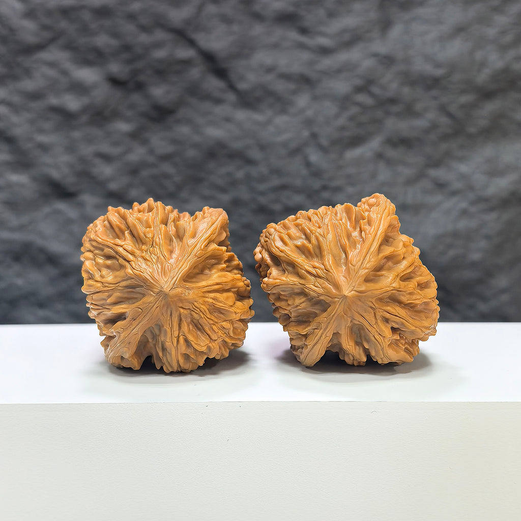 Pair of Beijing Chicken Heart Wenwan Walnuts from Wenwan Art, featuring 43mm x 45mm smooth, polished walnut carvings.