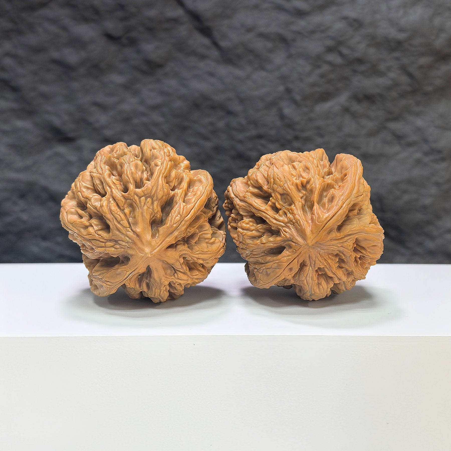【精選級】大粗筋 文玩核桃 (4.6 × 4.6cm) | [Selected Grade] Large Thick Rib Walnut (4.6 × 4.6cm) - SKU: DCJ-1S9