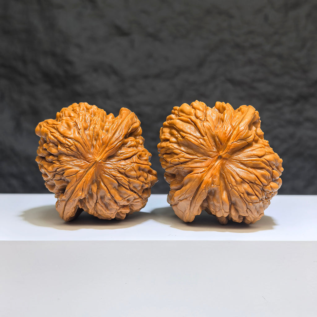 【收藏級】華坤龍 文玩核桃 (4.8 × 4.9cm) | [Collector's Grade] Huakun Dragon Walnut (4.8 × 4.9cm) - SKU: HKL-1Z1