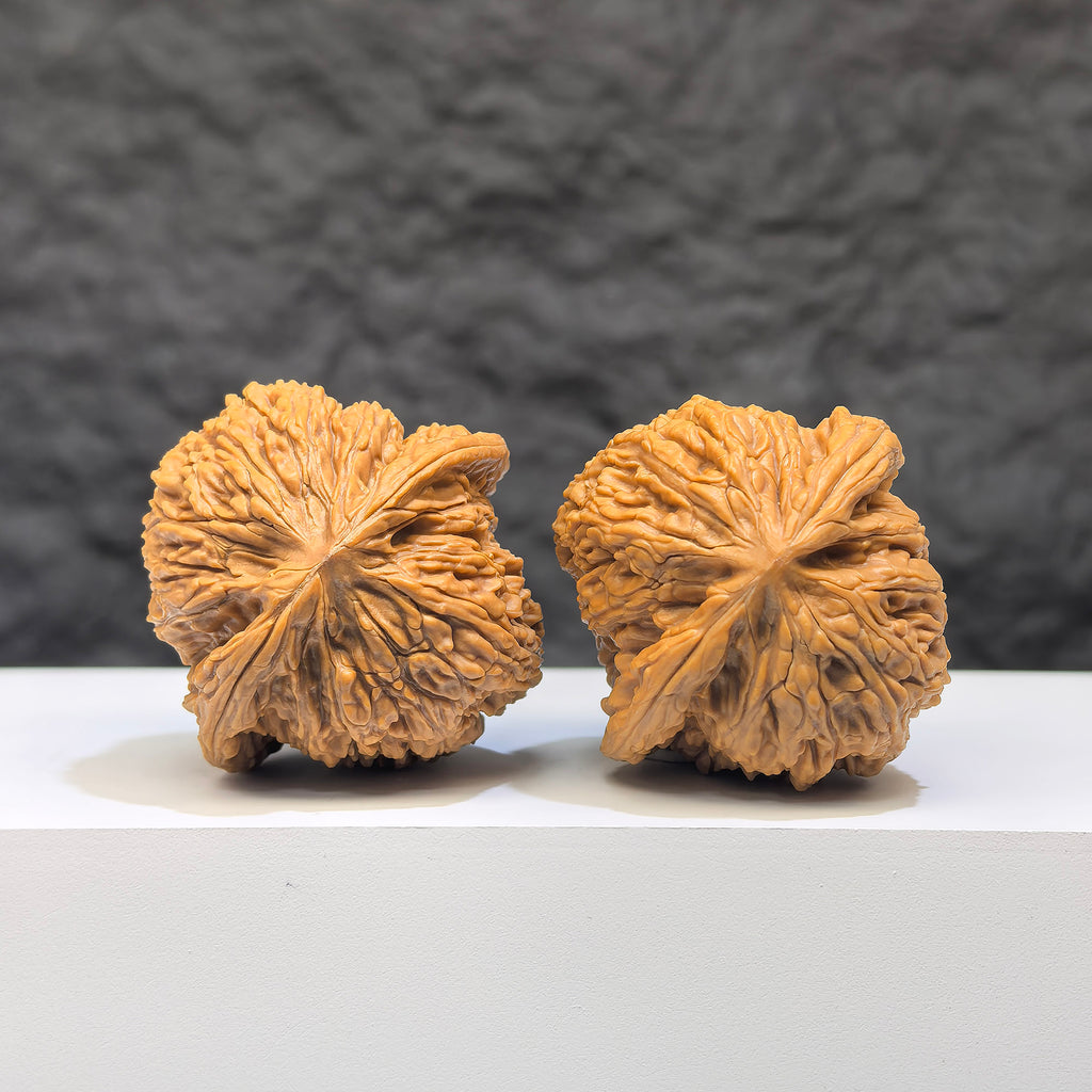 Wenwan Art "Ruby" Classic Wenwan Walnut pair, 36mm x 36mm, featuring rich red gemstone-like appearance and detailed craftsmanship.