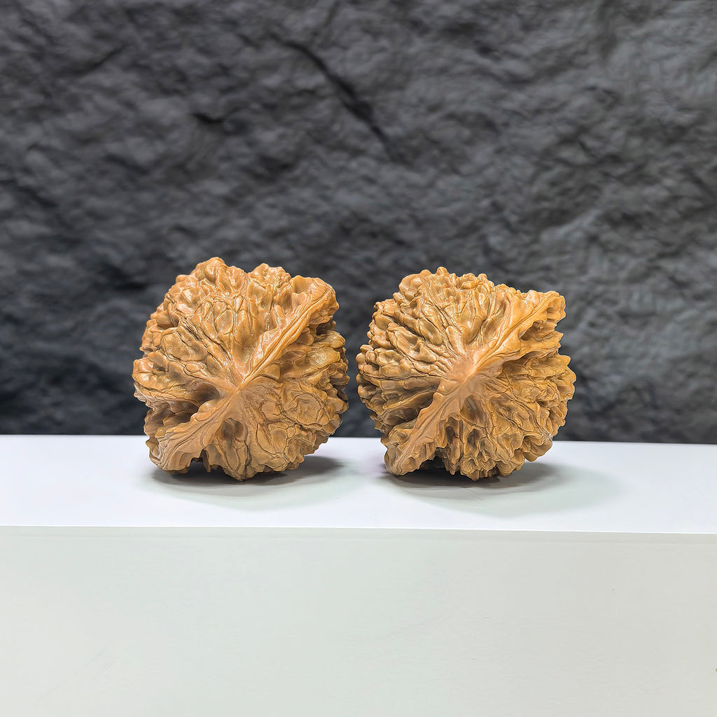 Official Wenwan Walnuts pair by Wenwan Art, classic Wenwan Walnut with 44mm x 42mm size, detailed and polished for display