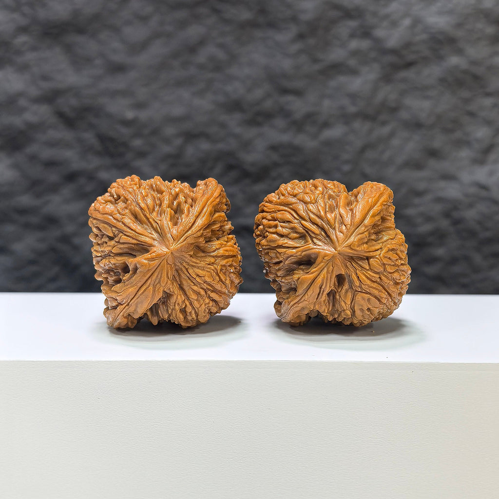 【收藏級】南疆石 文玩核桃 (4.0 × 4.0cm) | [Collector's Grade] Nanjiangstone Walnut (4.0 × 4.0cm) - SKU: NJS-1B5