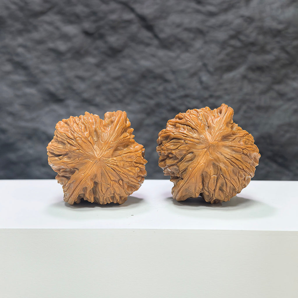 Pair of Wenwan Art Classic Scholar hand-matched Wenwan walnuts, 41mm x 39mm, featuring detailed craftsmanship and natural walnut texture.