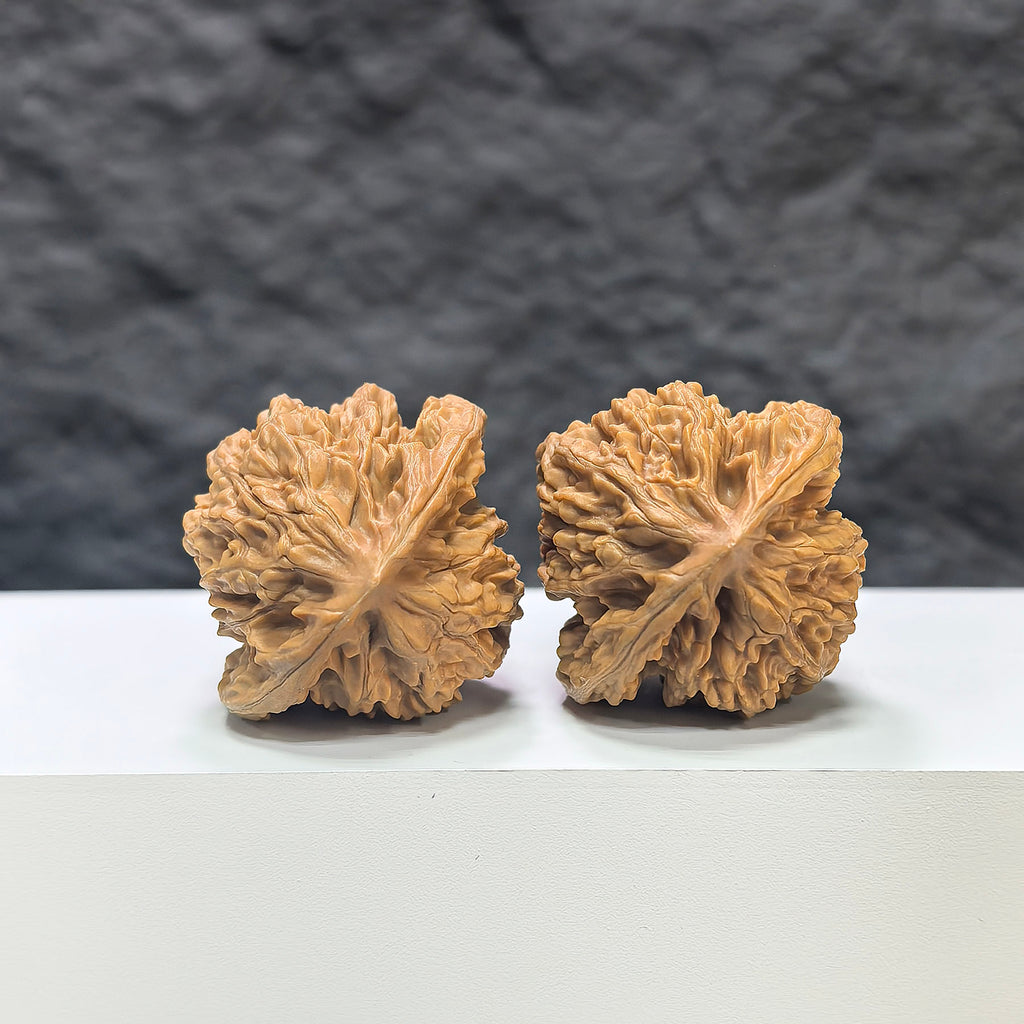 Pair of Xiayunling Classic Wenwan walnuts from Wenwan Art, 37mm x 35mm, featuring detailed natural wood grain.