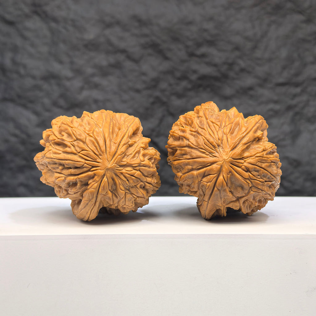 Selected grade Blizzard Wenwan Walnut, 4.1×4.4cm, featuring smooth surface and natural wood grain, from Wenwan Art.