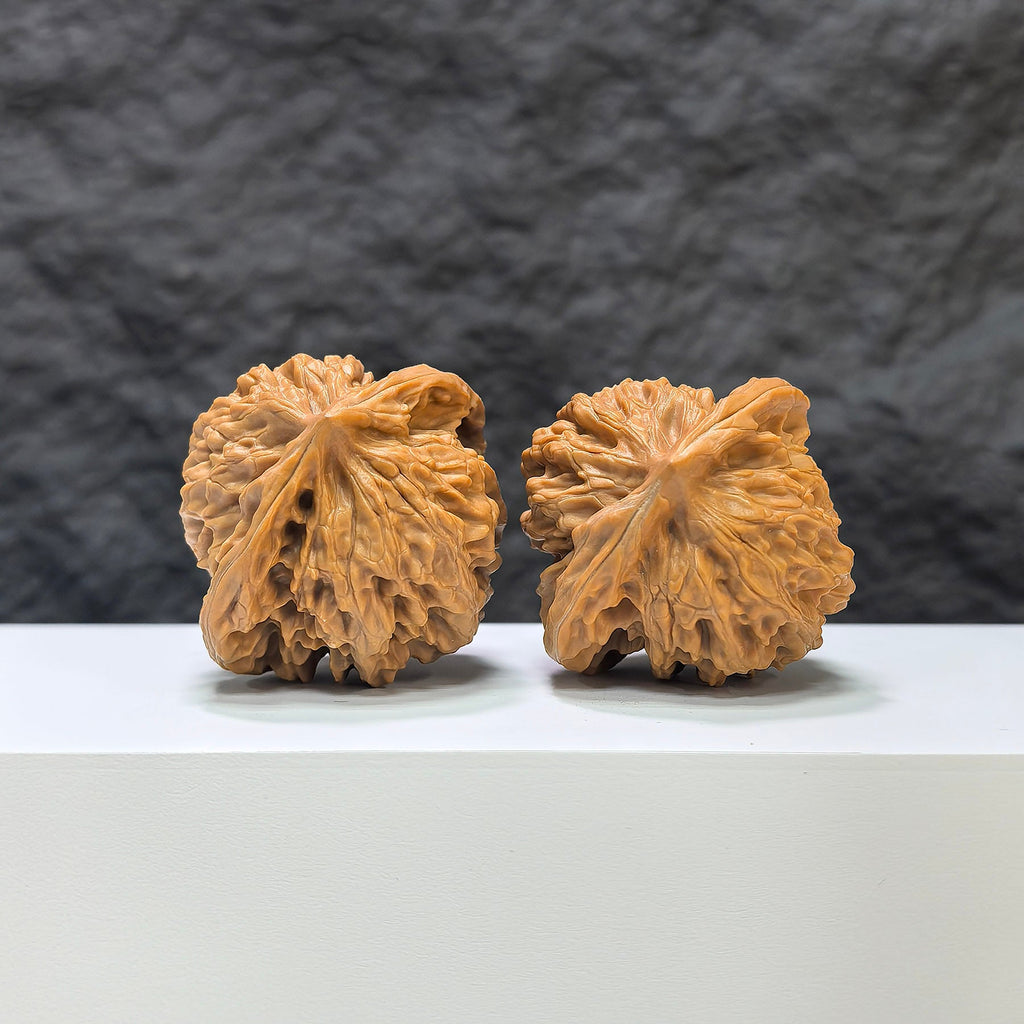 【收藏級】盤龍虎頭 × 霞雲嶺 文玩核桃 (4.3 × 4.0cm) | [Collector's Grade] Panlong Tiger Head x Xiayunling Walnut (4.3 × 4.0cm) - SKU: PLHTXLYL-1C3