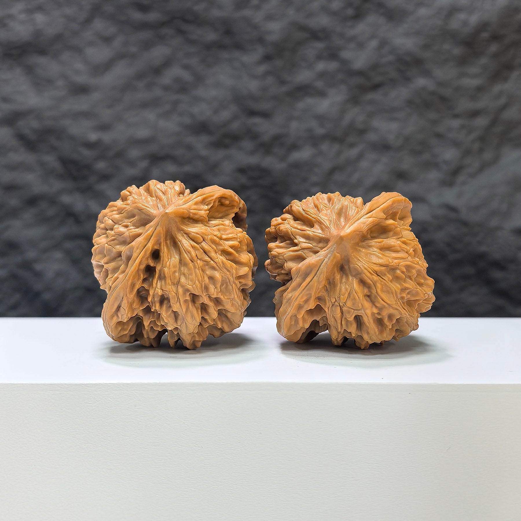 【收藏級】盤龍虎頭 × 霞雲嶺 文玩核桃 (4.3 × 4.0cm) | [Collector's Grade] Panlong Tiger Head x Xiayunling Walnut (4.3 × 4.0cm) - SKU: PLHTXLYL-1C3