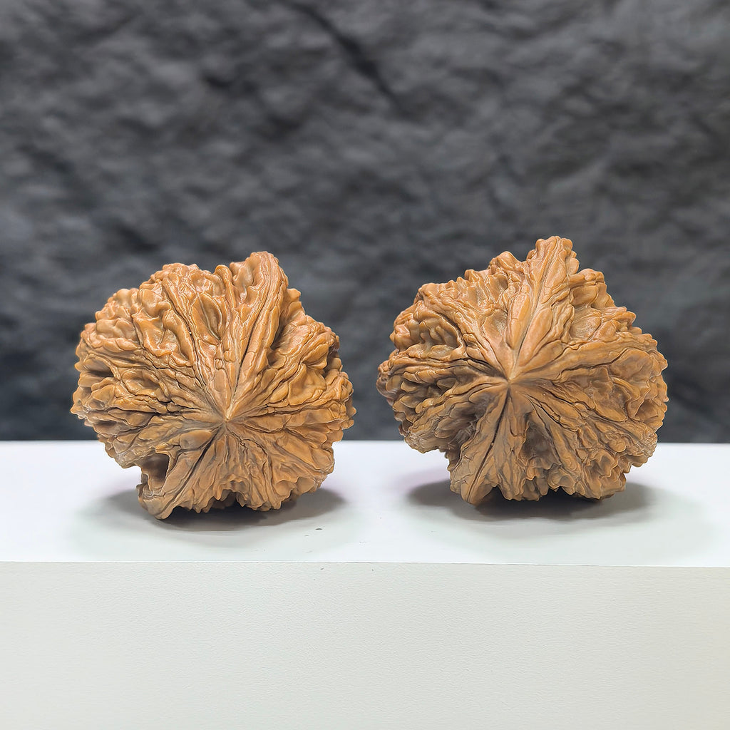 Pair of Classic Scholar Wenwan Walnuts from Wenwan Art, hand-matched DZS-1R7, 42mm x 43mm, showcasing polished natural stone walnuts.