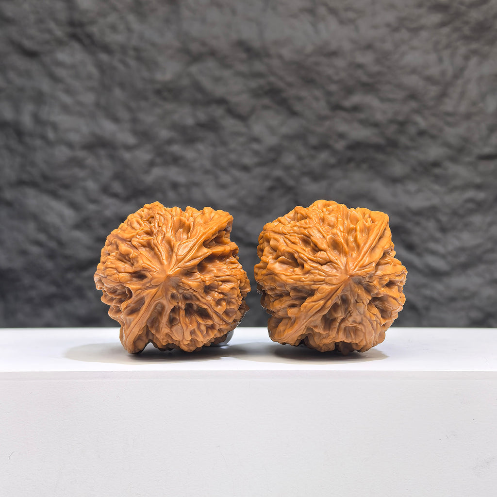 Selected grade small Bison Walnut from Wenwan Art, 3.5x3.3cm, featuring detailed natural wood grain and smooth polished surface.