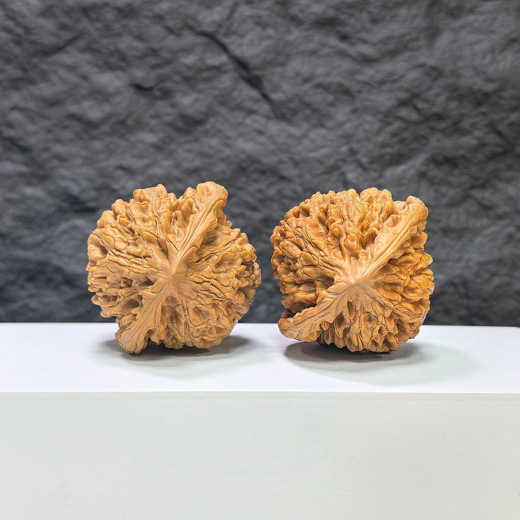 Pair of large Wenwan Art official Wenwan walnuts, 48mm x 45mm, showcasing smooth, polished walnut shells on a neutral background.