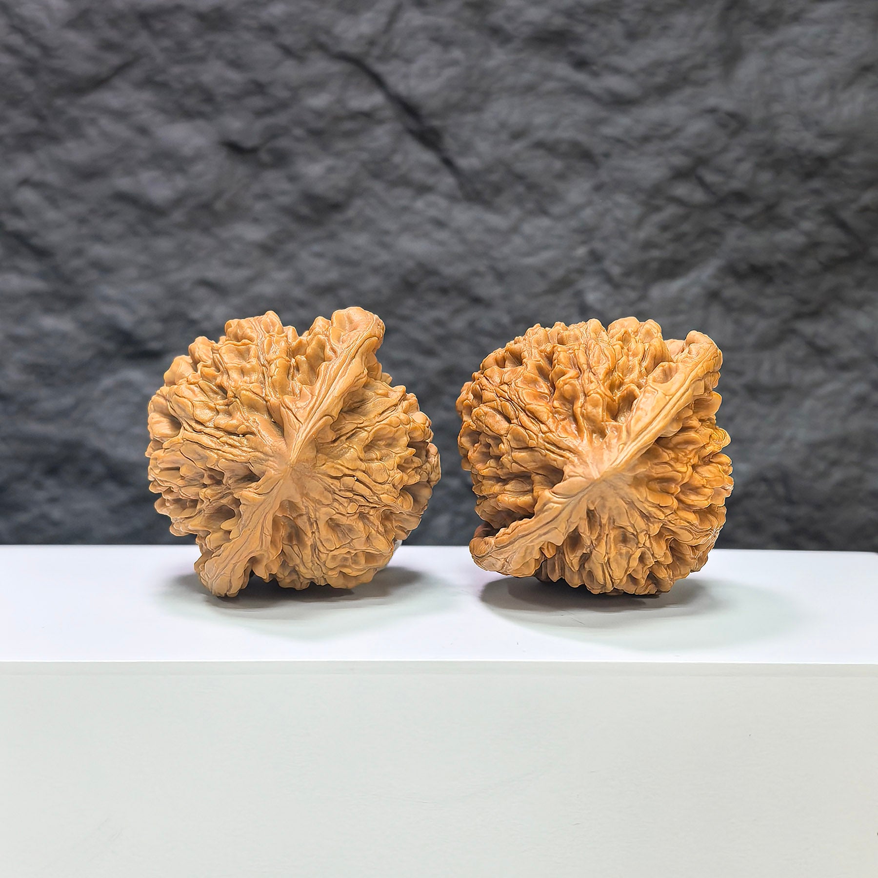 Pair of large Wenwan Art official Wenwan walnuts, 48mm x 45mm, showcasing smooth, polished walnut shells on a neutral background.