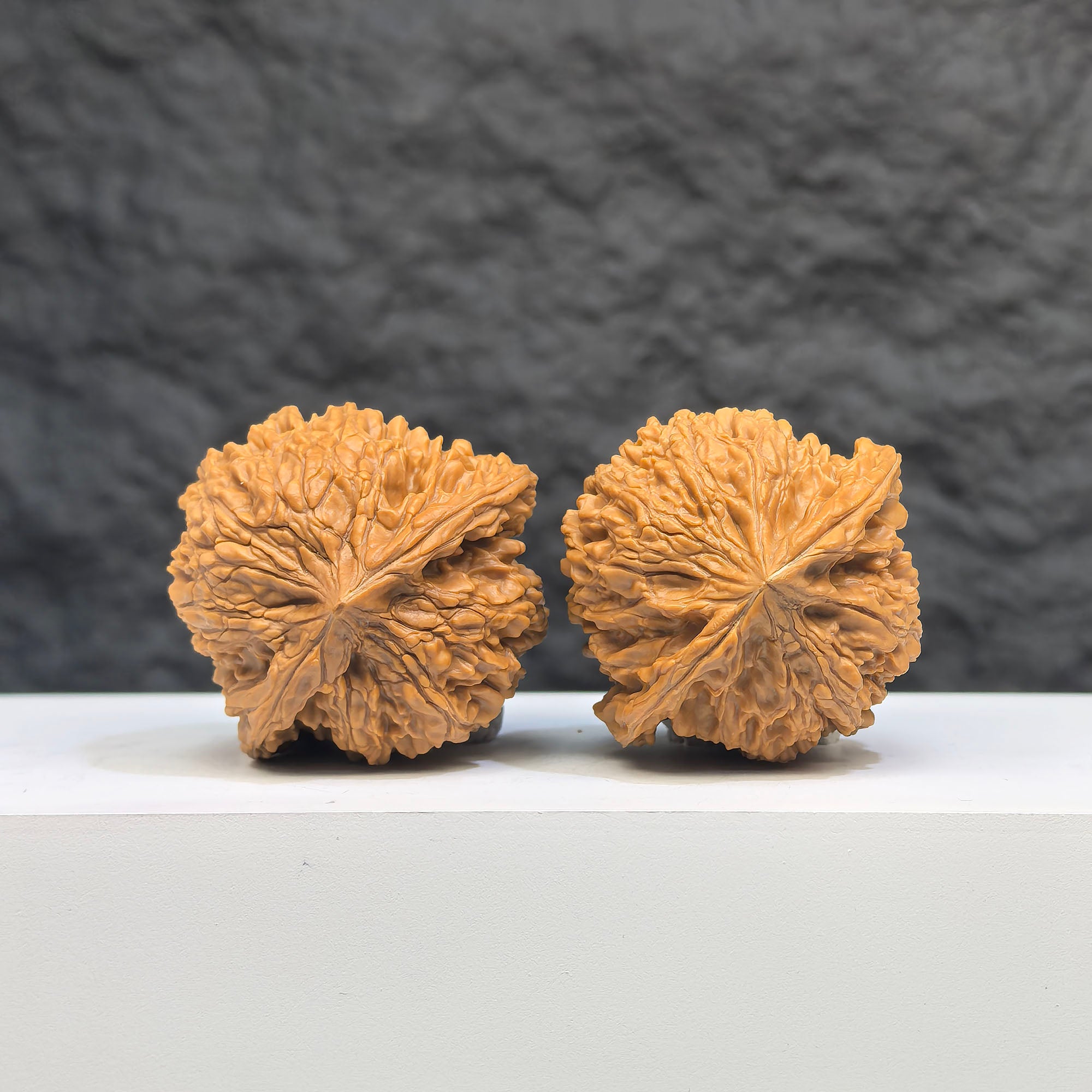 Pair of Babys Breath Full Stars Wenwan Walnuts by Wenwan Art, 38x37mm, featuring intricate star patterns on polished walnuts.