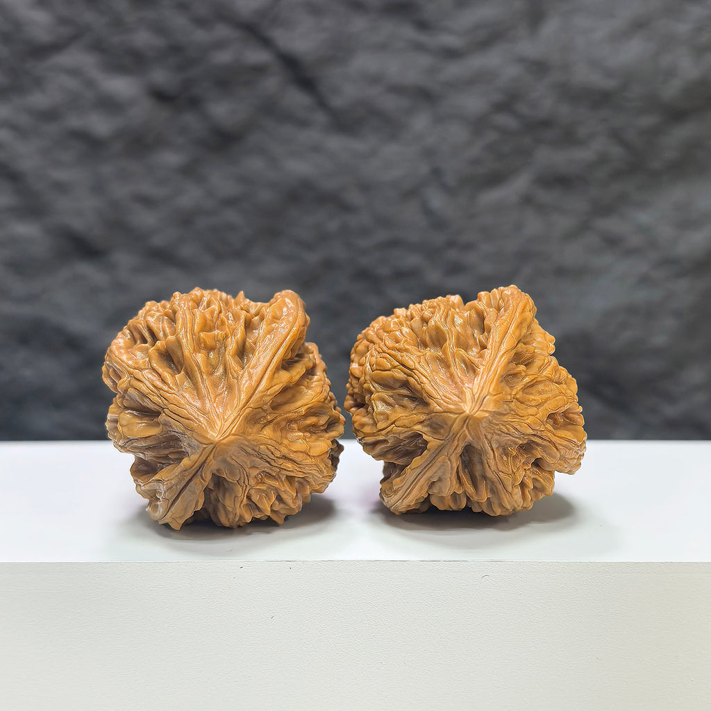Pair of Beijing Chicken Heart Wenwan walnuts from Wenwan Art, 39mm, showcasing smooth, natural walnut shells with rich texture.
